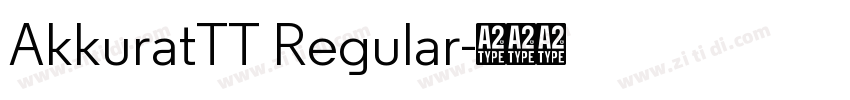 AkkuratTT Regular字体转换